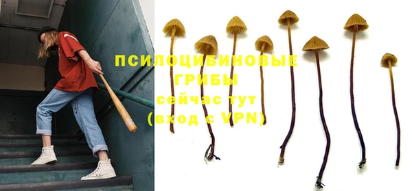 ПСИЛОЦИБИНОВЫЕ ГРИБЫ Мегион