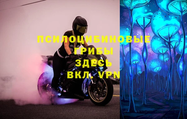 ПСИЛОЦИБИНОВЫЕ ГРИБЫ Мегион