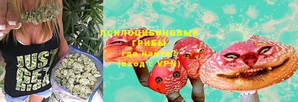 ПСИЛОЦИБИНОВЫЕ ГРИБЫ Мегион