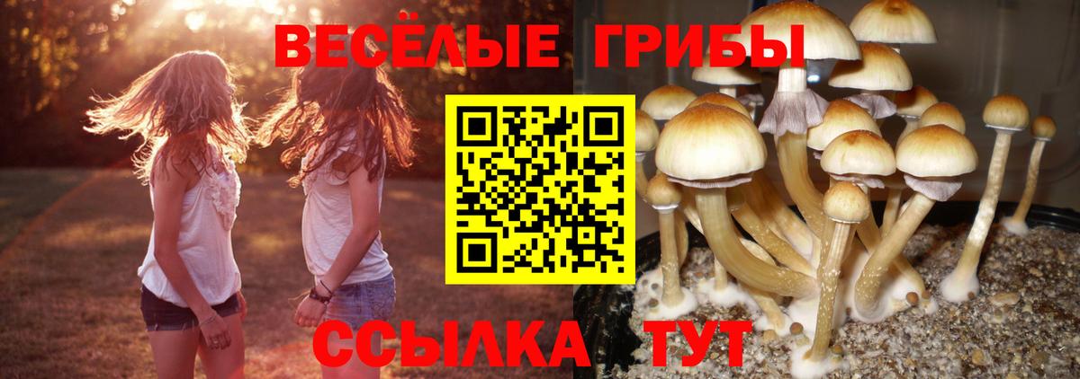 Псилоцибиновые грибы ЛСД  Галлюциногенные грибы GOLDEN TEACHER  Вход с VPN  Туапсе 
