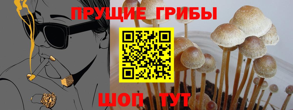 Псилоцибиновые грибы ЛСД Туапсе