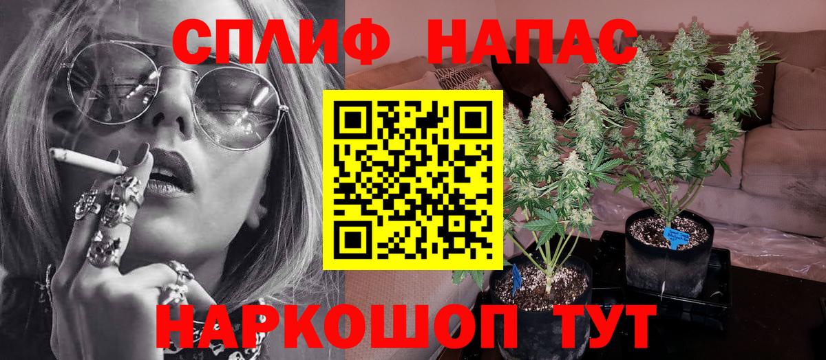 Бошки Шишки сатива  Вход с VPN  Марихуана THC 21%  Туапсе  Конопля MAZAR 